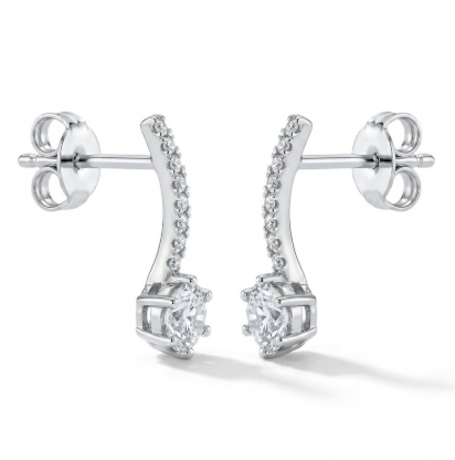 Curved Zircon Earrings